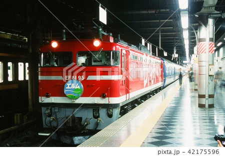 EF8195 エルム EF8195 エルム 42175596