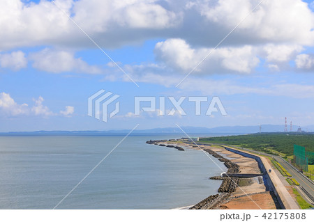 伊良湖岬の景色 42175808