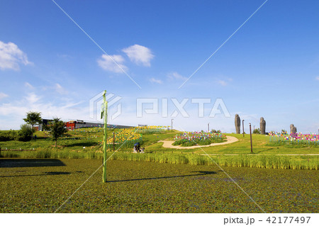京畿道 キョンギド 平和ヌリ公園 42177497