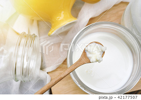 Kefir milk, Close up of hand holding kefir grains. Kefir milk, Close up of hand holding kefir grains. 42177507