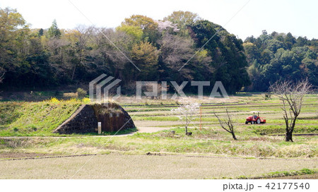 総武鉄道物井川橋梁亀崎橋台跡 42177540