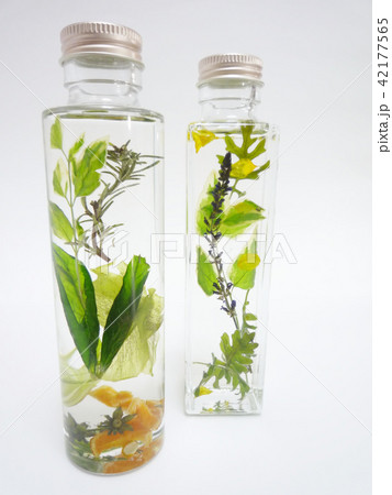 ナチュラルなハーバリウム 42177565