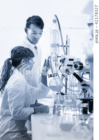 Young chemists researching in life science laboratory. Young chemists researching in life science laboratory. 42178327
