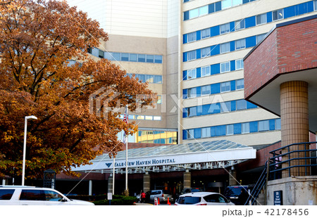 イエール大学ホスピタル イエール大学ホスピタル 42178456