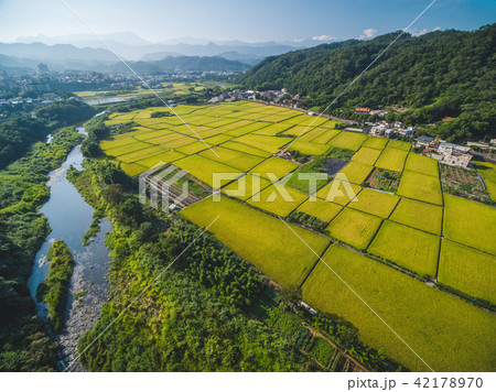 たんぼ 田んぼ 田圃 42178970
