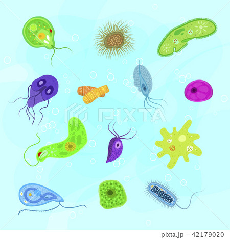 Virus vector bacterial infection virus-like illness illustration virulent bacterium set of 42179020