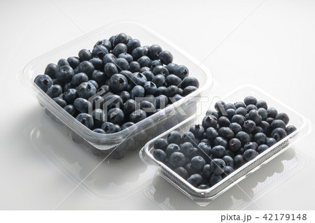 ブルーベリー 42179148
