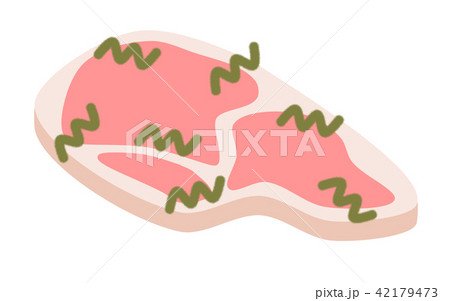 肉に雑菌 42179473