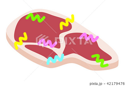 肉に雑菌 肉に雑菌 42179476