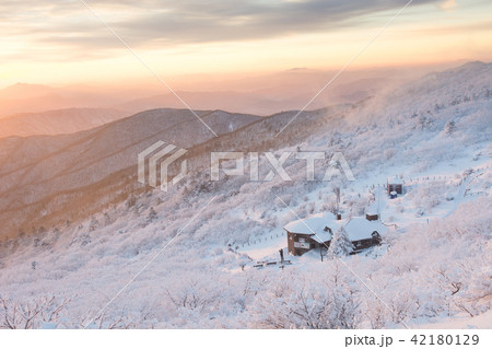 日の出 風景 旅行 42180129