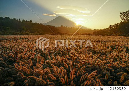 富士山　秋 42180380