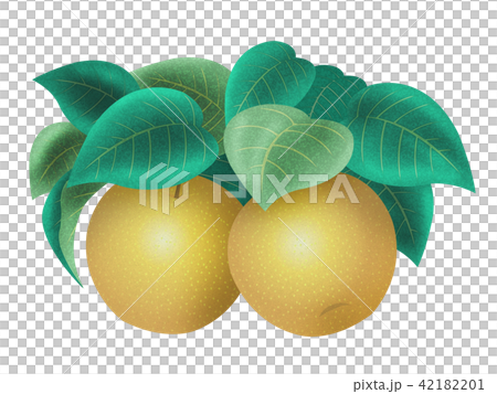 pear pear 42182201