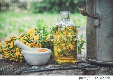 St Johns wort plants, oil or infusion bottle 42182726
