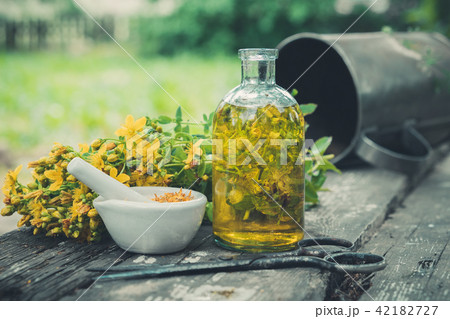 Hypericum flowers, oil or infusion bottle 42182727