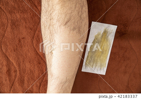 メンズエステ　ブラジリアンワックス　足　すね毛　清潔感　ムダ毛　処理 42183337