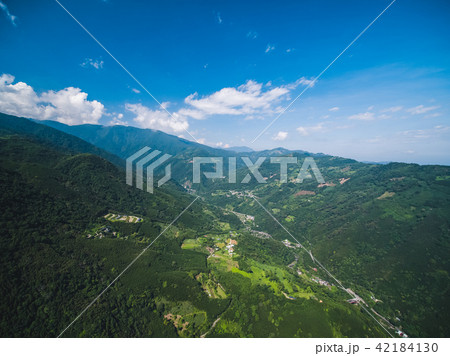 鶏冠 とさか クレスト 42184130