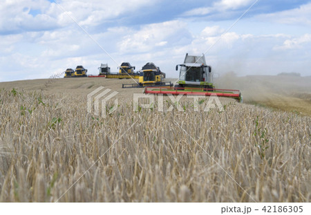 harvester machine harvester machine 42186305