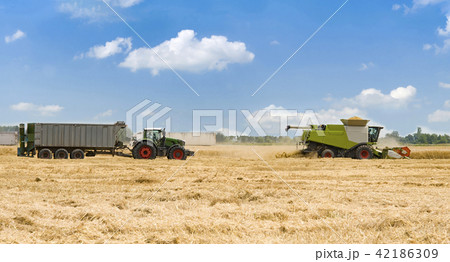 harvester machine 42186309