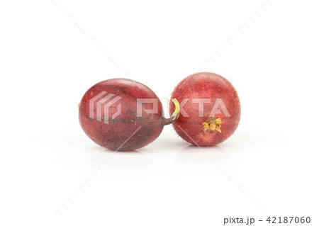 Fresh raw red gooseberry isolated on white Fresh raw red gooseberry isolated on white 42187060
