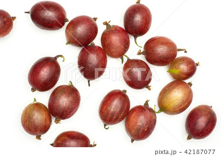 Fresh raw red gooseberry isolated on white 42187077