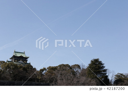 大阪城 42187200
