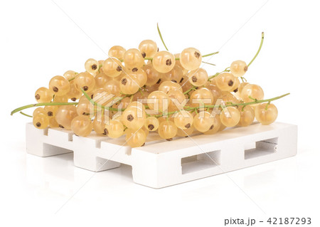 Fresh white currant berries  isolated on white 42187293