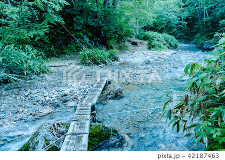 白砂山登山道　ハンノ木沢　橋 42187463