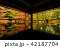 京都　瑠璃光院 42187704
