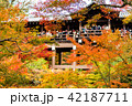 東福寺の秋 42187711