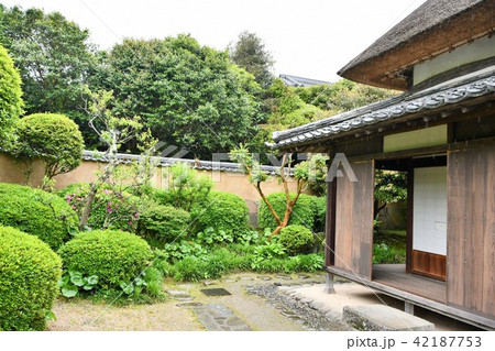 雨の杵築城下町 武家屋敷 雨の杵築城下町 武家屋敷 42187753