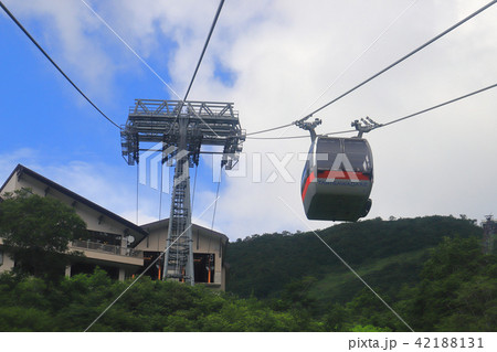 初夏の谷川岳天神平駅付近から見た谷川岳ロープウェイ 初夏の谷川岳天神平駅付近から見た谷川岳ロープウェイ 42188131