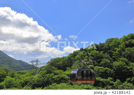 初夏の谷川岳土合口駅付近から見た谷川岳ロープウェイ 初夏の谷川岳土合口駅付近から見た谷川岳ロープウェイ 42188142