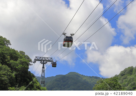 初夏の谷川岳土合口駅付近から見た谷川岳ロープウェイ 初夏の谷川岳土合口駅付近から見た谷川岳ロープウェイ 42189040