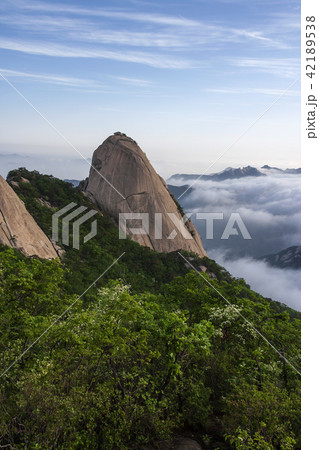 ソウル ソウル市 韓国 42189538