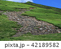 鳥海山登山道 御田ヶ原① 42189582