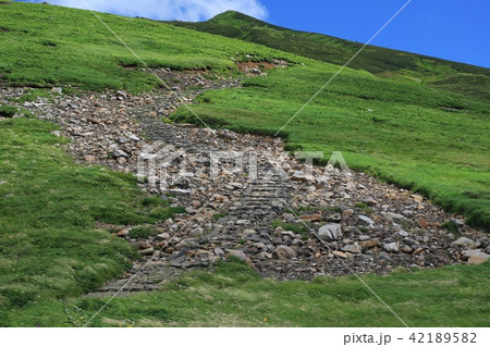 鳥海山登山道 御田ヶ原① 鳥海山登山道 御田ヶ原① 42189582