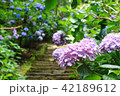 あじさい参道（出塩文殊堂）⑦ 42189612