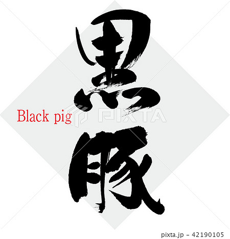 黒豚 Black Pig 筆文字 手書き のイラスト素材