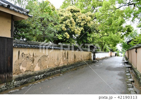 雨の杵築城下町　武家屋敷 42190313