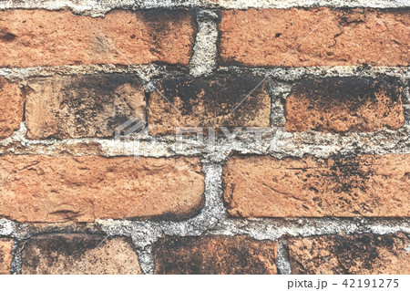 Brick Wall Background 42191275