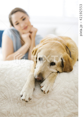 Woman lying on bed with dog Woman lying on bed with dog 42192553