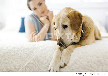 Woman lying on bed with dog Woman lying on bed with dog 42192565