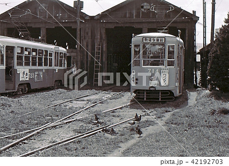 昭和52年　函館市電　駒場車庫　北海道 42192703