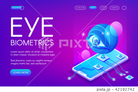 Eye biometrics technology vector illustration 42192742