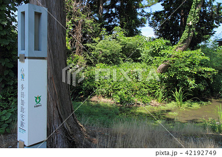 多田加助宅跡　長野県指定史跡 42192749