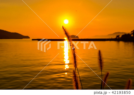 海　秋の季節　夕凪の海　(津奈木町海岸の夕日)　(漁港)　撮影日；2017年11月 42193850