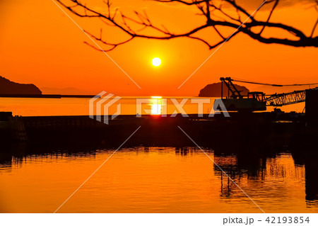 海　秋の季節　夕凪の海　(津奈木町海岸の夕日)　(漁港)　撮影日；2017年11月 42193854