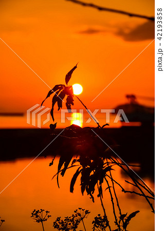 海 秋の季節 夕凪の海 (津奈木町海岸の夕日) (漁港) 撮影日;2017年11月 海 秋の季節 夕凪の海 (津奈木町海岸の夕日) (漁港) 撮影日;2017年11月 42193858