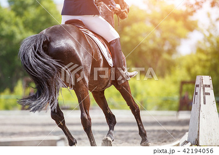 Young girl riding horse on equestrian competition 42194056
