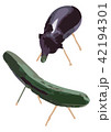 ナスの牛、きゅうりの馬 42194301